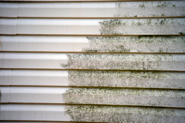 Storm Damage Siding Repair in Spencer, IA